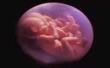 丽水市人民医院万丰院区做三代试管成功率如何？一文读懂需要花多少钱